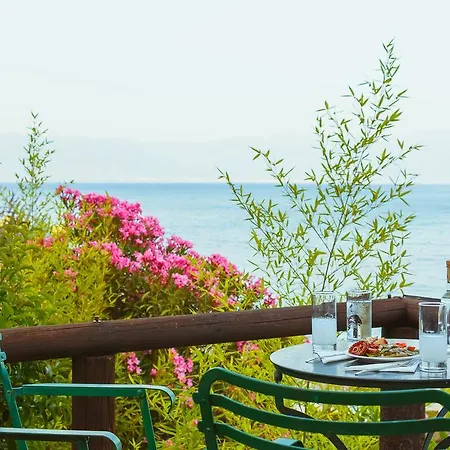 Lejlighedshotel Grekis And