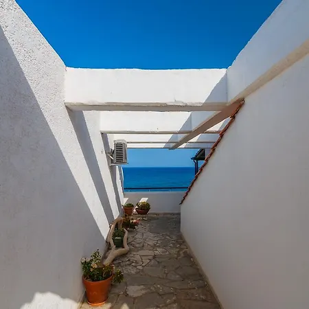 Grekis And Petalídhion