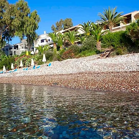 Grekis And Petalídi