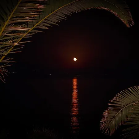 Grekis And Petalídhion