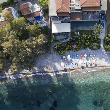 Grekis And Petalídhion