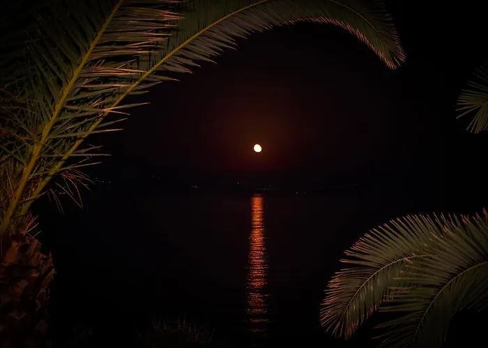 Grekis And Πεταλίδι